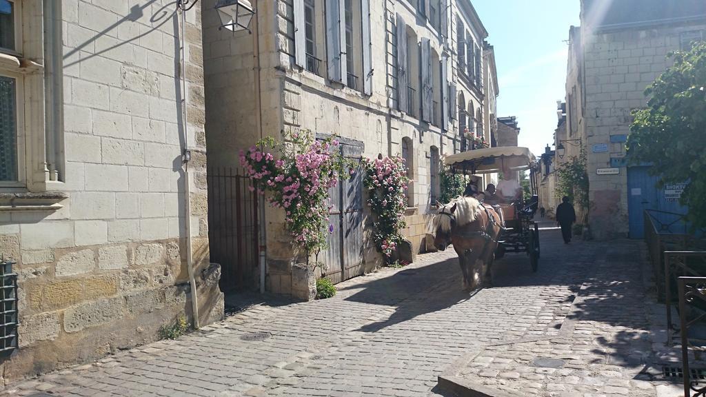 Nature & Chateaux Apartment Chinon